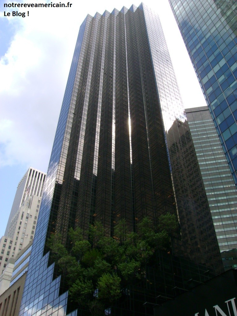 Building-5th-Avenue1-768x1024