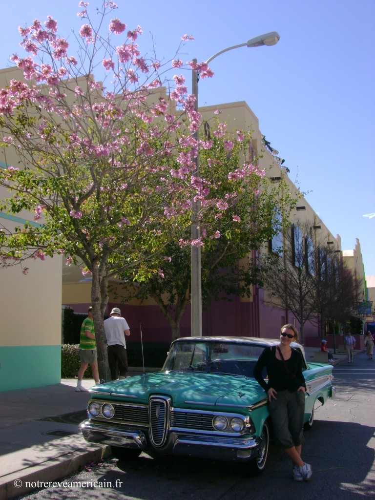 universal orlando 