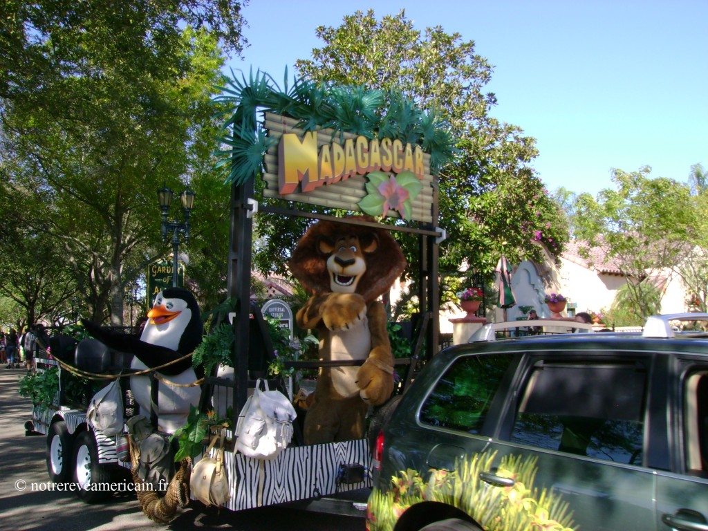 dinsey orlando 