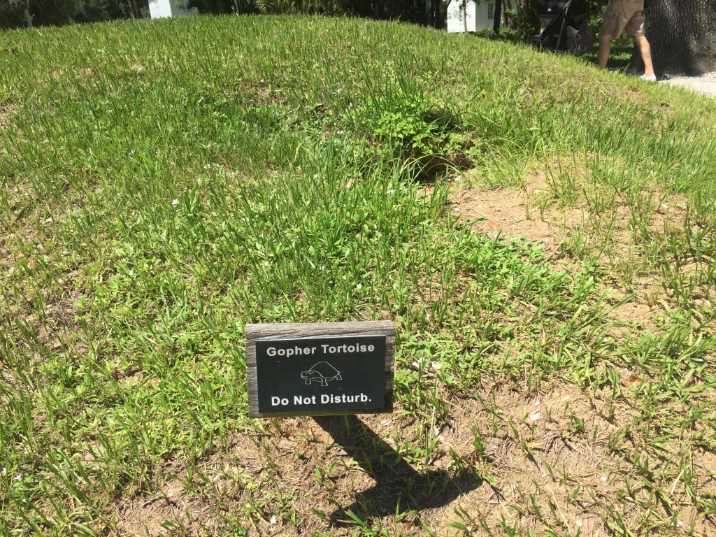 Koreshan State Historic Site