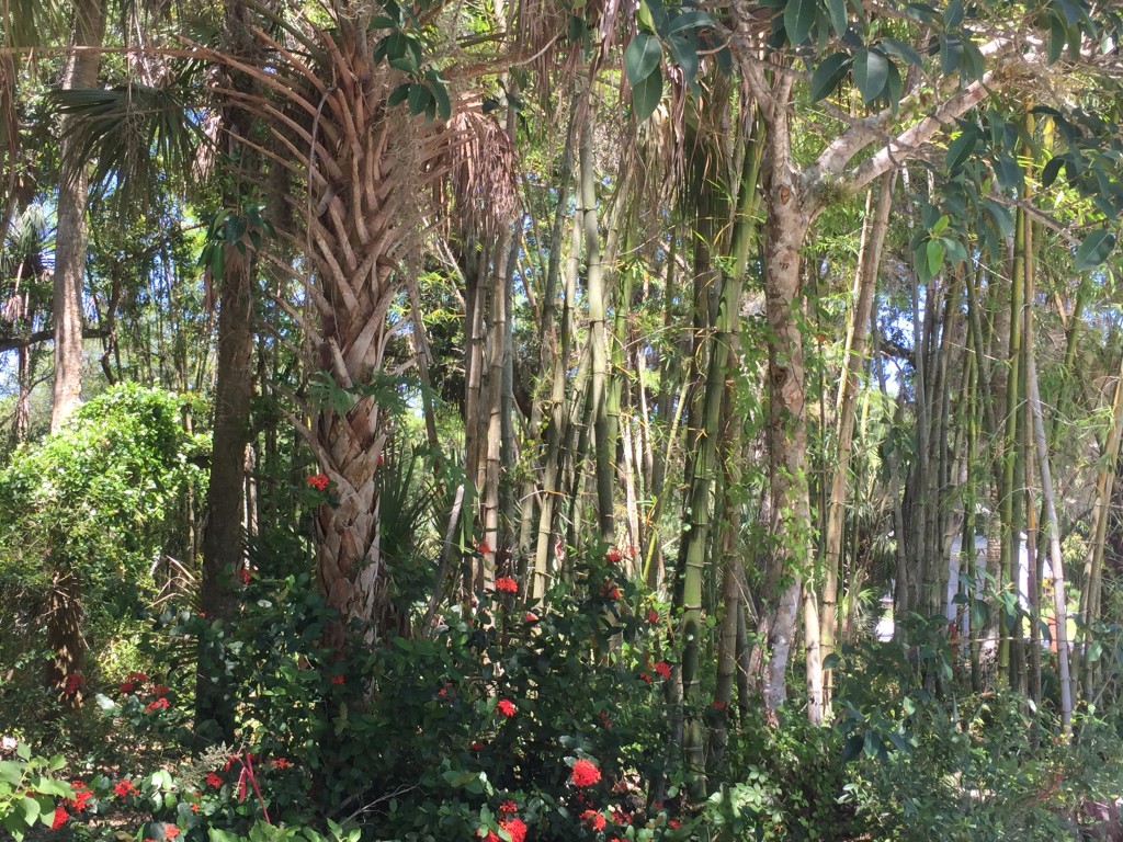 Koreshan State Historic Site