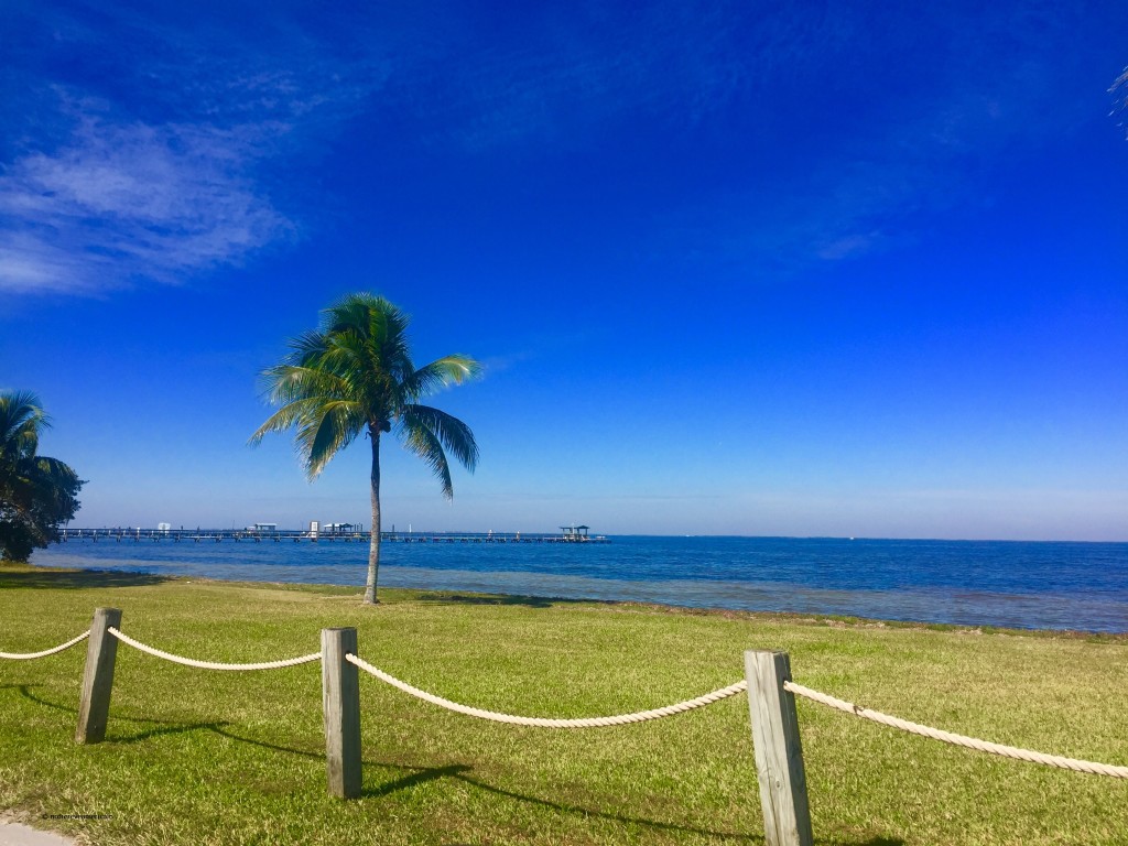 pine island floride