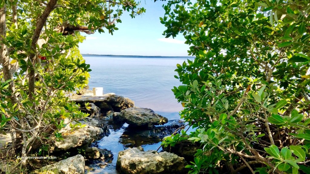 pine island floride