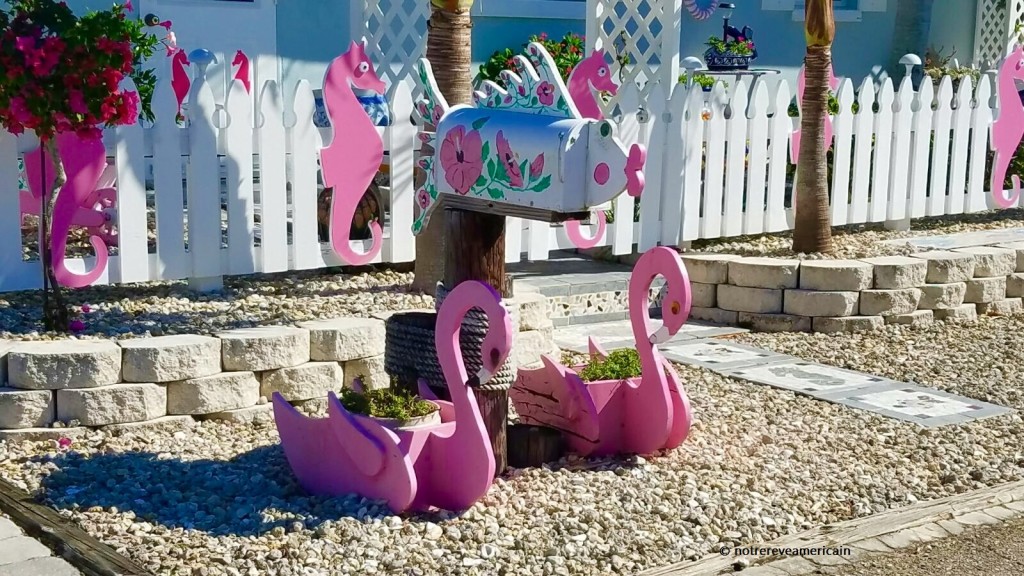 pine island floride