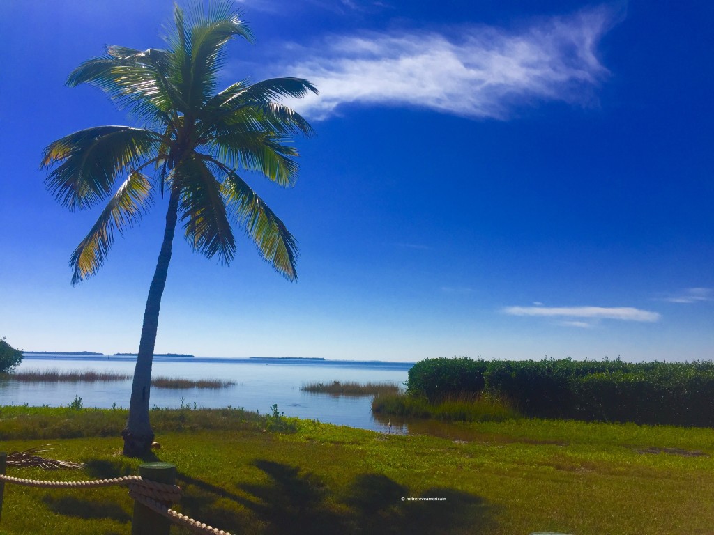 pine island floride