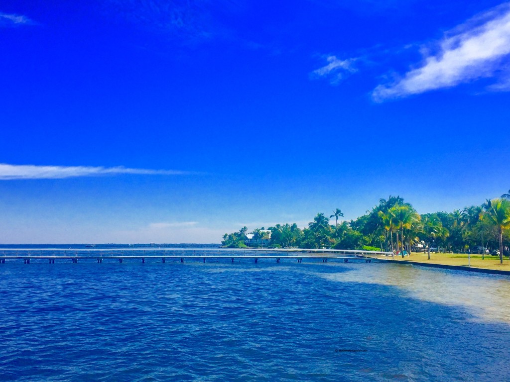 pine island floride