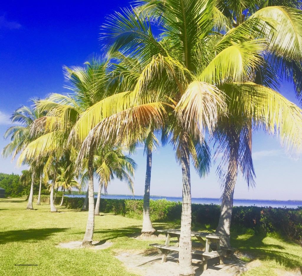 pine island floride