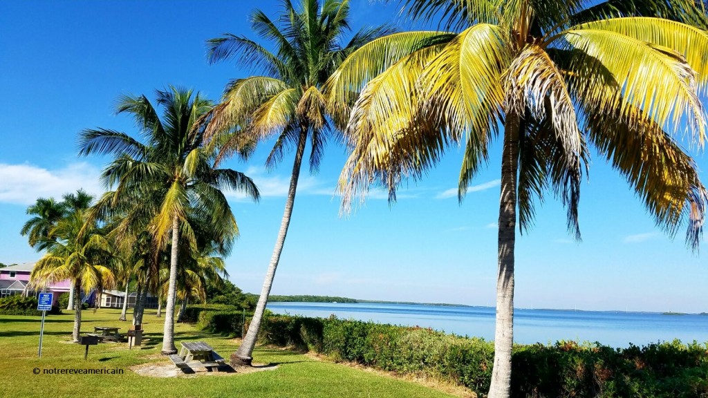 pine island floride