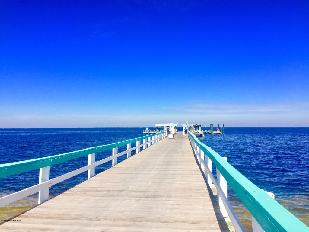 pine island floride