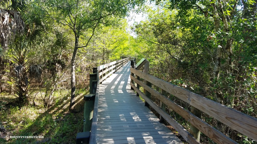 Six Mile Cypress Slough Preserve fort myers floride