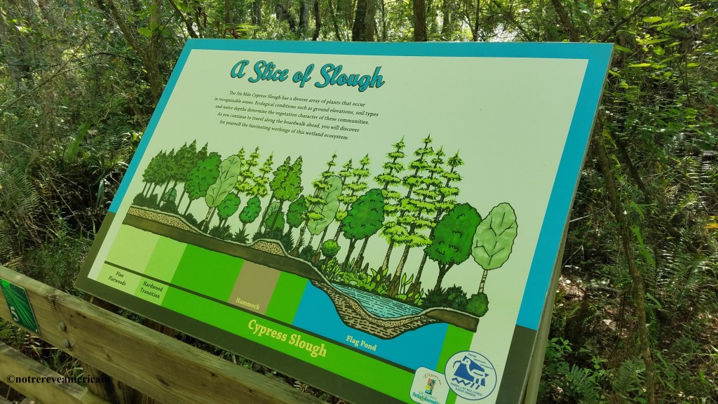 Six Mile Cypress Slough Preserve fort myers floride