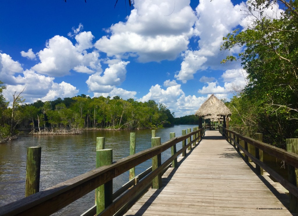 everglades city floride