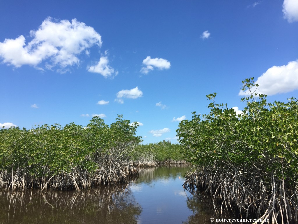 everglades city floride
