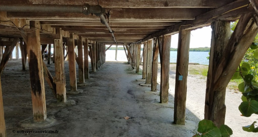 chokoloskee floride