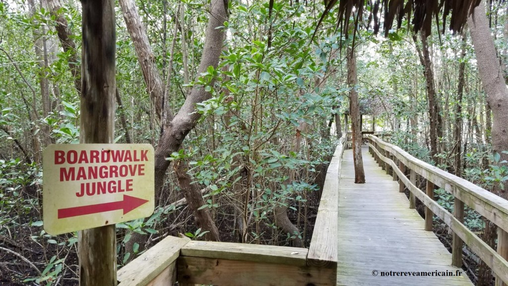 everglades city floride
