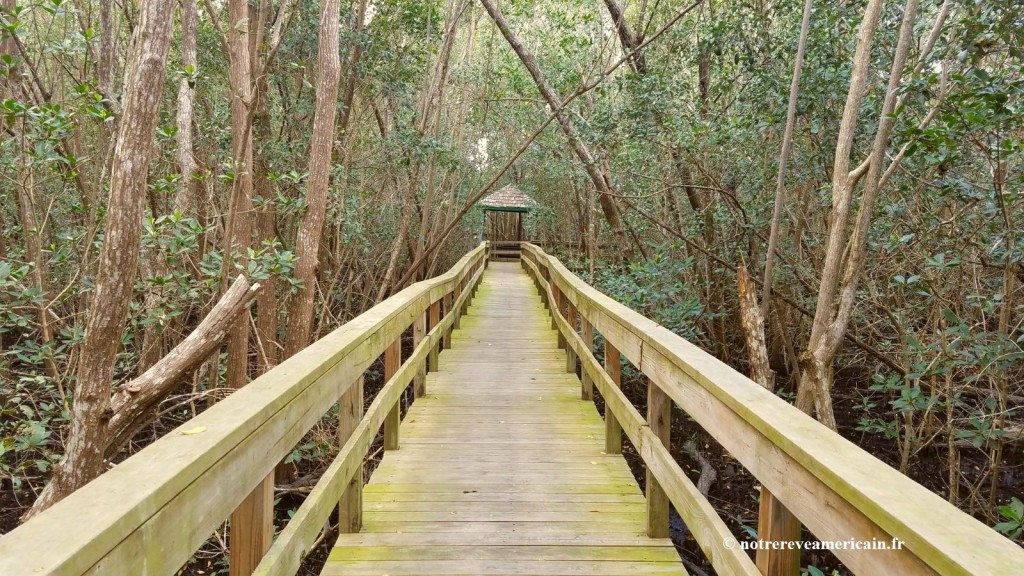 everglades city floride