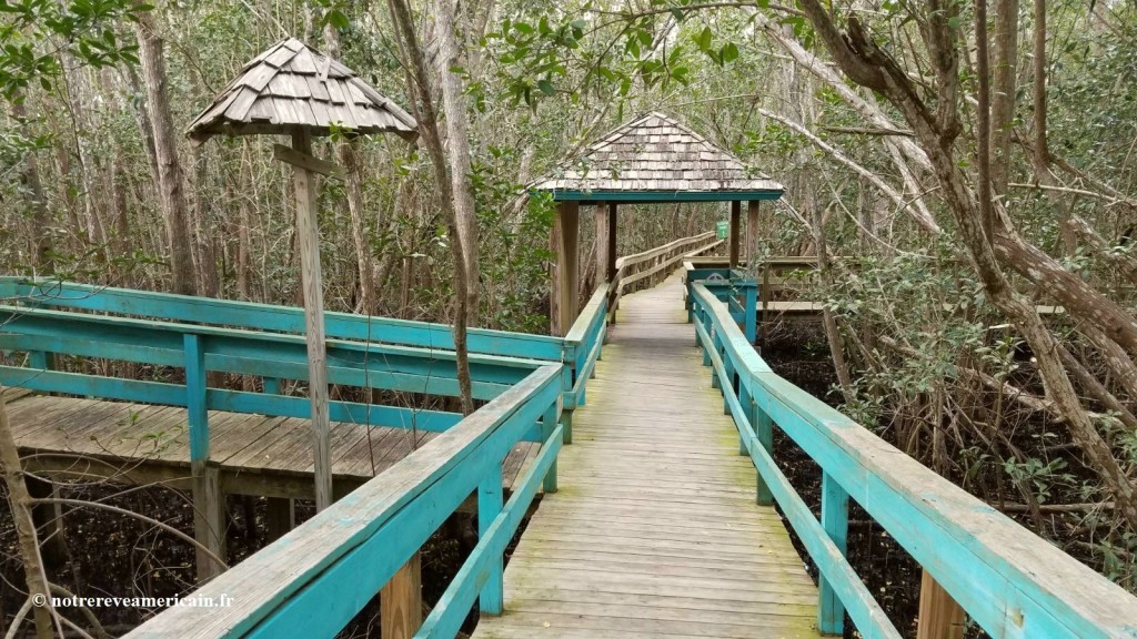 everglades city floride
