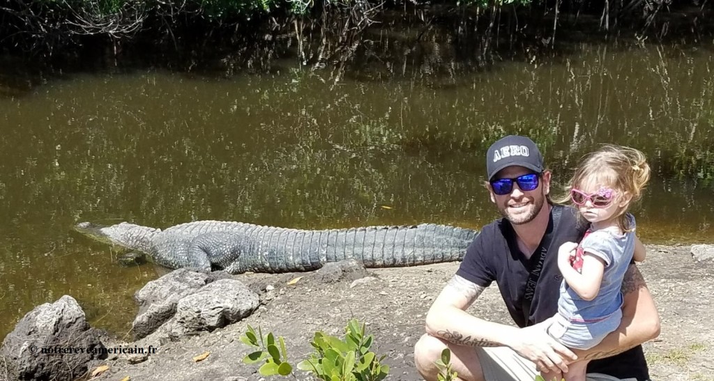 everglades city floride