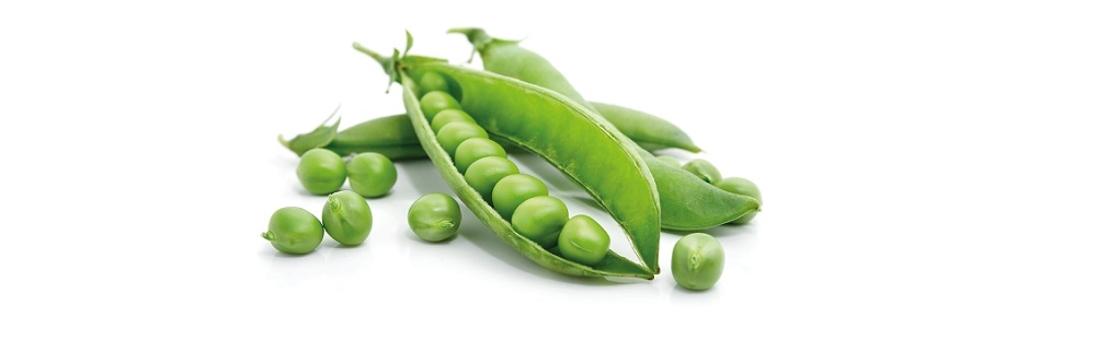 Courgettes et petits pois
