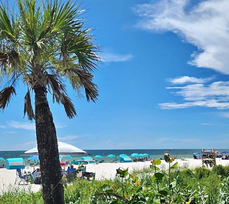 Lowdermilk Park