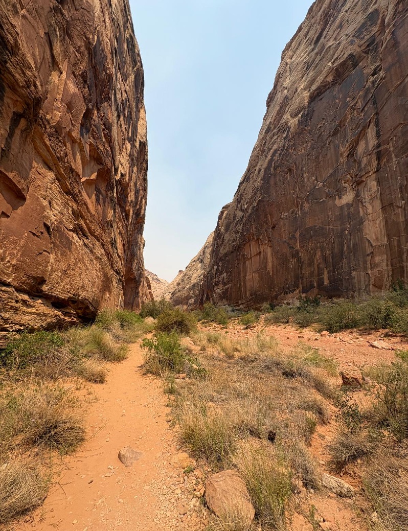 Walking through Capitol Gorge Trail between towering sandstone cliffs in Capitol Reef National Park, Utah.